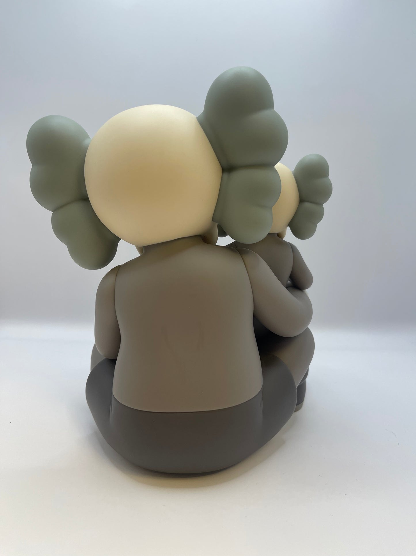 Kaws Holiday Changbai Mountain Brown